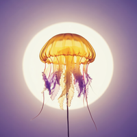 Violet Tide Sleep — cover art