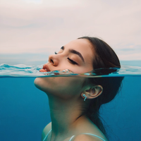 Submerged Chase — cover art