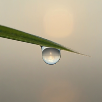 Fog Return — cover art
